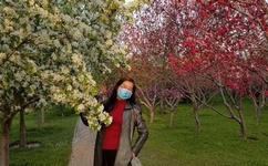 最近日本中文字幕免费完整